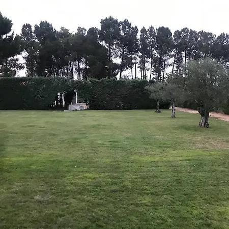 Tamarindos *
