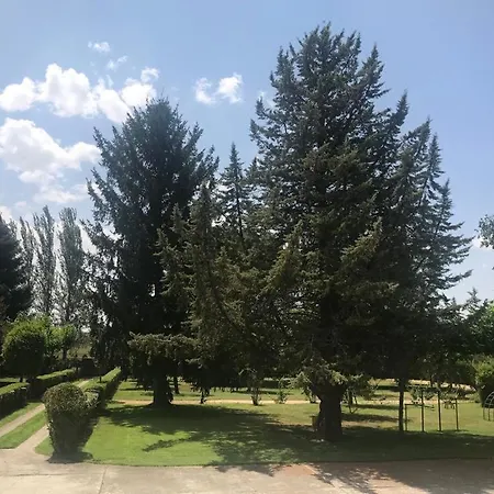 Tamarindos Homestay Salamanca